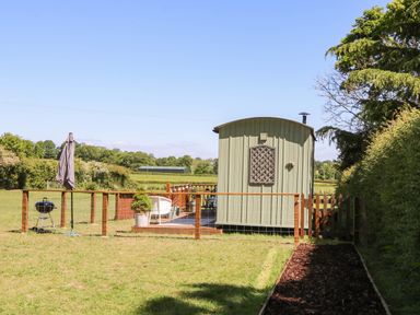 A fenced grassy garden with a small green shed patio chairs umbrella and barbecue in a countryside setting at Songbirds in St Michaels Kent