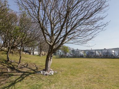 A grassy outdoor area with leafless trees and glass dome structures at Number 2 Dome in Derrybeg County Donegal