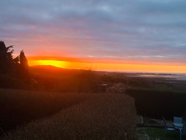 A view of a sunset over the sea with trees and a garden at Burry House in Llanmorlais