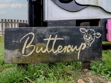 A wooden sign with the word Buttercup and a cow face on grass at Buttercup Cow Shed 3 in Easton near Campsea Ashe