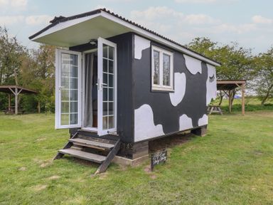 A small black and white cabin with cow pattern opens on a grassy field with picnic tables at Dozy Dotty Cow Shed 4 Easton near Campsea Ashe
