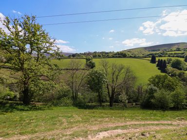 A grassy field with trees and hills under a clear sky at The Owlet in Dolwen near Llanidloes