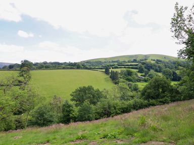 A view of rolling hills and trees at The Owlet Dolwen near Llanidloes