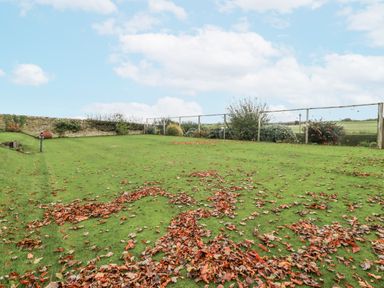 A garden with fallen leaves and a fence at Elford Farmhouse in Seahouses