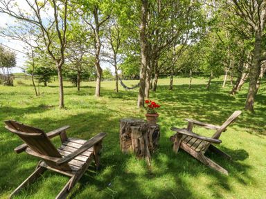 Two wooden chairs around a tree stump table with a flower pot in a grassy area with trees and a hammock at Sika in Warmwell