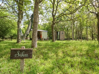 A hammock hanging between trees near small wooden cabins in a grassy wooded area at Sika in Warmwell