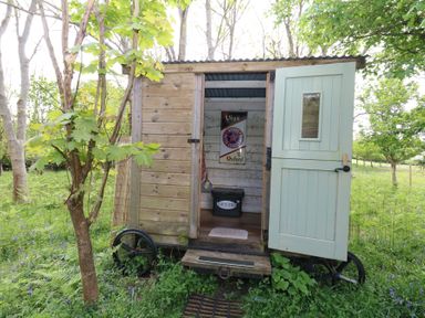 A small wooden shed with an open pale green door in a grassy wooded area at Fallow in Warmwell