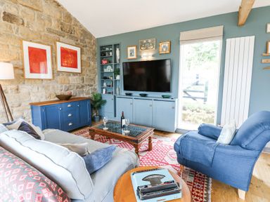 A living room with blue armchair a sofa a wooden coffee table a blue cabinet and a television at The Barn in Riding Mill near Corbridge