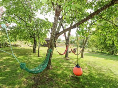 A grassy backyard with several trees hammocks and a hanging orange swing at Moonlight in Ventnor