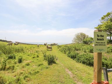 A grassy path with sheep and a sign to the beach at Bank End Farm in Ventnor