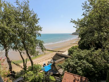 A beach with boats and trees along the shore at Moonlight in Ventnor