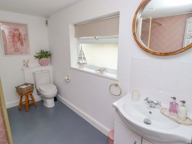 A bathroom with a toilet and sink at Penwyn in Solva