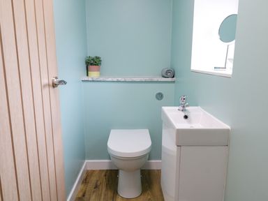 A small bathroom with a toilet sink mirror and plant at Dwynant in Bontddu near Dolgellau