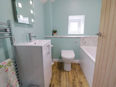 A bathroom with a sink vanity mirror toilet window bathtub and towel rail at Dwynant in Bontddu near Dolgellau