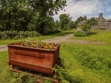 A rusted mine cart with flowers inside on grass near a gravel path with stone houses and trees at Dwynant in Bontddu near Dolgellau