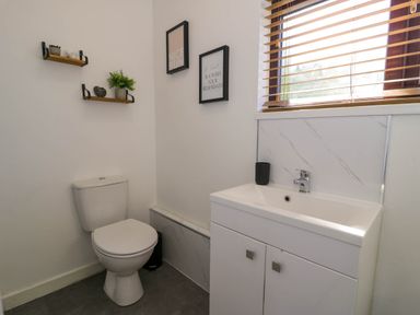 A bathroom with a toilet sink cabinet two framed pictures and small shelves with plants at Gilfach Bach in Dolgellau