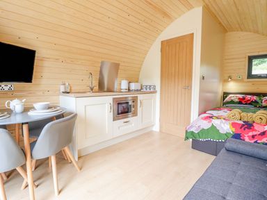 A compact wooden room with kitchenette dining table bed and sofa at Briallen in Bontddu near Dolgellau