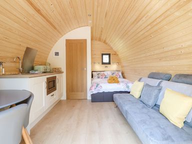 An arched wooden interior with a bed at the end and a kitchen area on the left and a sofa on the right at Eirlys in Bontddu near Dolgellau