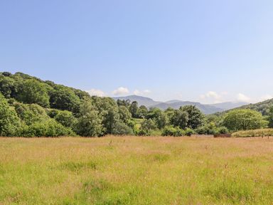 A grassy field with trees and hills in the background at Eirlys in Bontddu near Dolgellau