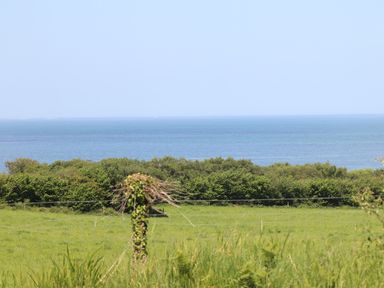 A green field with bushes and trees near a calm sea under a clear sky at Killelton Cottage in Camp County Kerry