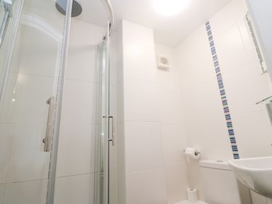 A shower and toilet in a bathroom at Tobys Quay in Falmouth