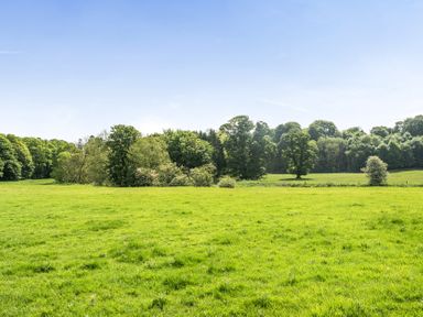 A grassy field with trees in the distance at Jubilee Bungalow Pet Friendly Sleeps 4 Penrith