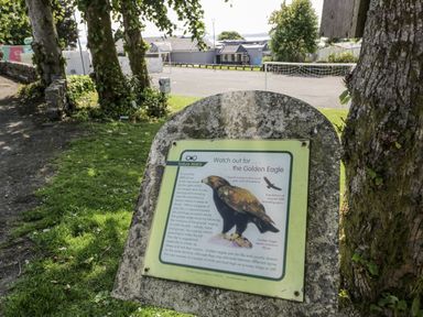 A nature informational sign about the Golden Eagle outdoors at Number 42 Wemyss Bay