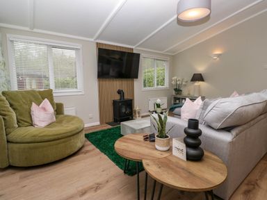 A living room with a green armchair gray sofa wooden coffee tables a wall-mounted TV and a wood-burning stove at Robins Lodge in White Cross Bay near Troutbeck Bridge