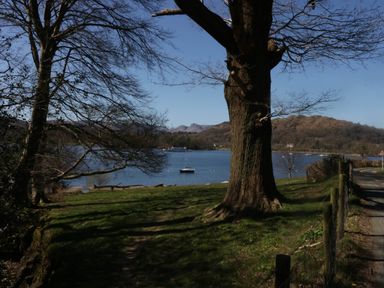 A lakeside view with trees grass and boats on the water at Robins Lodge White Cross Bay near Troutbeck Bridge
