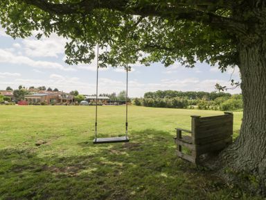 A swing and bench under a tree in an outdoor area at Shepherd Hut’s in Bristol