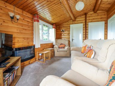 A living room with sofa and television at Y Bwthyn Pren, Cabin 209, Trawsfynydd