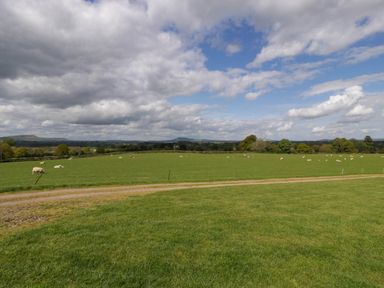 A grassy field with sheep and a dirt path under a cloudy sky at Twilight in Raglan