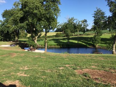 A grassy area with trees and a small river with benches near the water at Twilight in Raglan