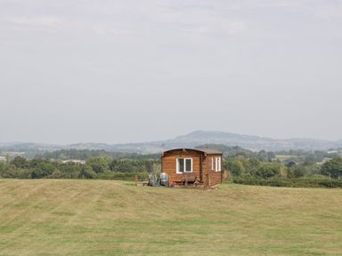 A cabin on a lawn with a tractor at Twilight, Raglan