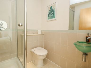 A bathroom with a shower enclosure toilet green glass sink and octopus wall art at 6 Red Sails in Sandbanks