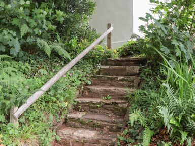 A pathway with stone steps and a handrail at The Boat House in Ashprington