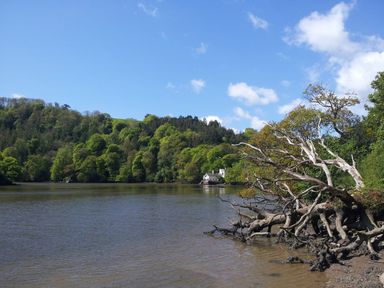 A river with trees and a house in the background at The Boat House in Ashprington