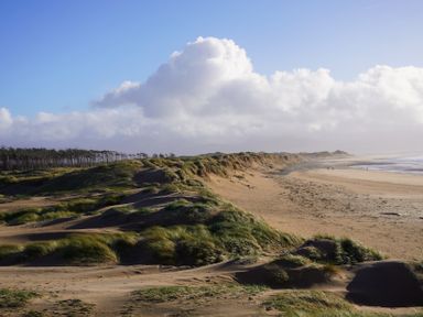 A beach with sand dunes and trees at Rhianfa Newborough