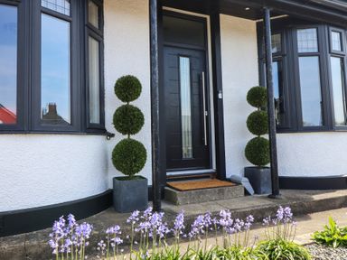 Front entrance with black door flanked by two potted three-tier topiary plants and purple flowers in front of the step at Bronallt in Cemaes Bay
