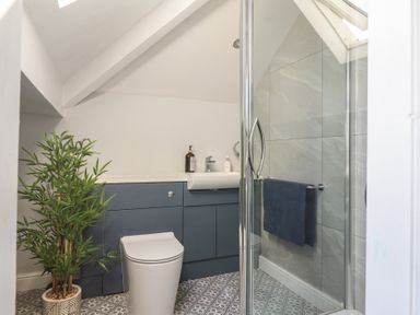 A bathroom with a toilet sink shower and a plant at Bronallt in Cemaes Bay