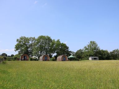 Three cabins and a shed in a grassy area at Honeypot Hideaways - Acacia