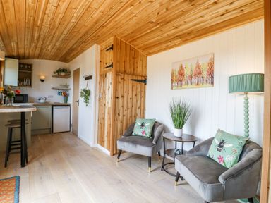 A seating area with two grey armchairs and a side table with a plant in Woodpecker in Lode near Bottisham