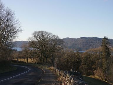 A view of a road lined with trees and a lake at Wansfell 2 Limefitt Park near Troutbeck