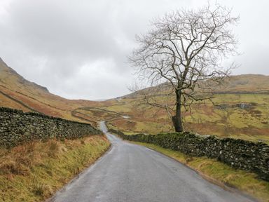A road with a tree and stone walls along the sides in a mountain area