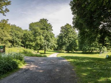 A road leading through greenery at Wally's Folly near Limefitt Park