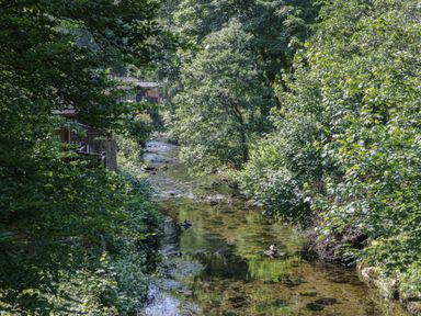 A stream surrounded by trees and buildings at Wally's Folly Limefitt Park near Troutbeck