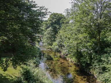 A stream surrounded by trees and grass at Wally's Folly in Limefitt Park near Troutbeck