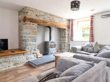 A living room with a wood stove and sofa at Gwernffridd