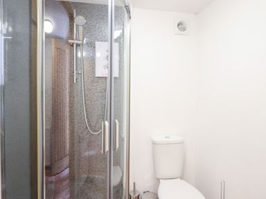 A bathroom with a shower and a toilet at Gwernffridd