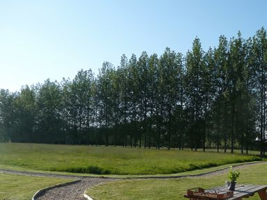 A garden with a curved gravel path and a tree line in the background at Braeburn Lodge Coxbridge near Glastonbury